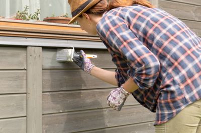 Exterior Cladding Painting