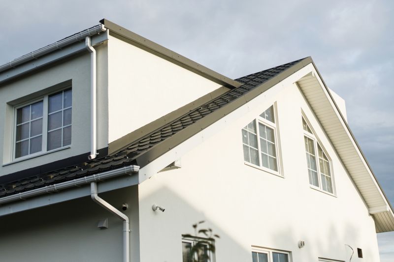 Exterior Cladding Painting